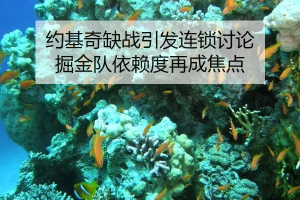 约基奇缺战引发连锁讨论 掘金队依赖度再成焦点
